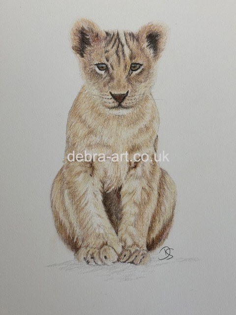 Lion Cub